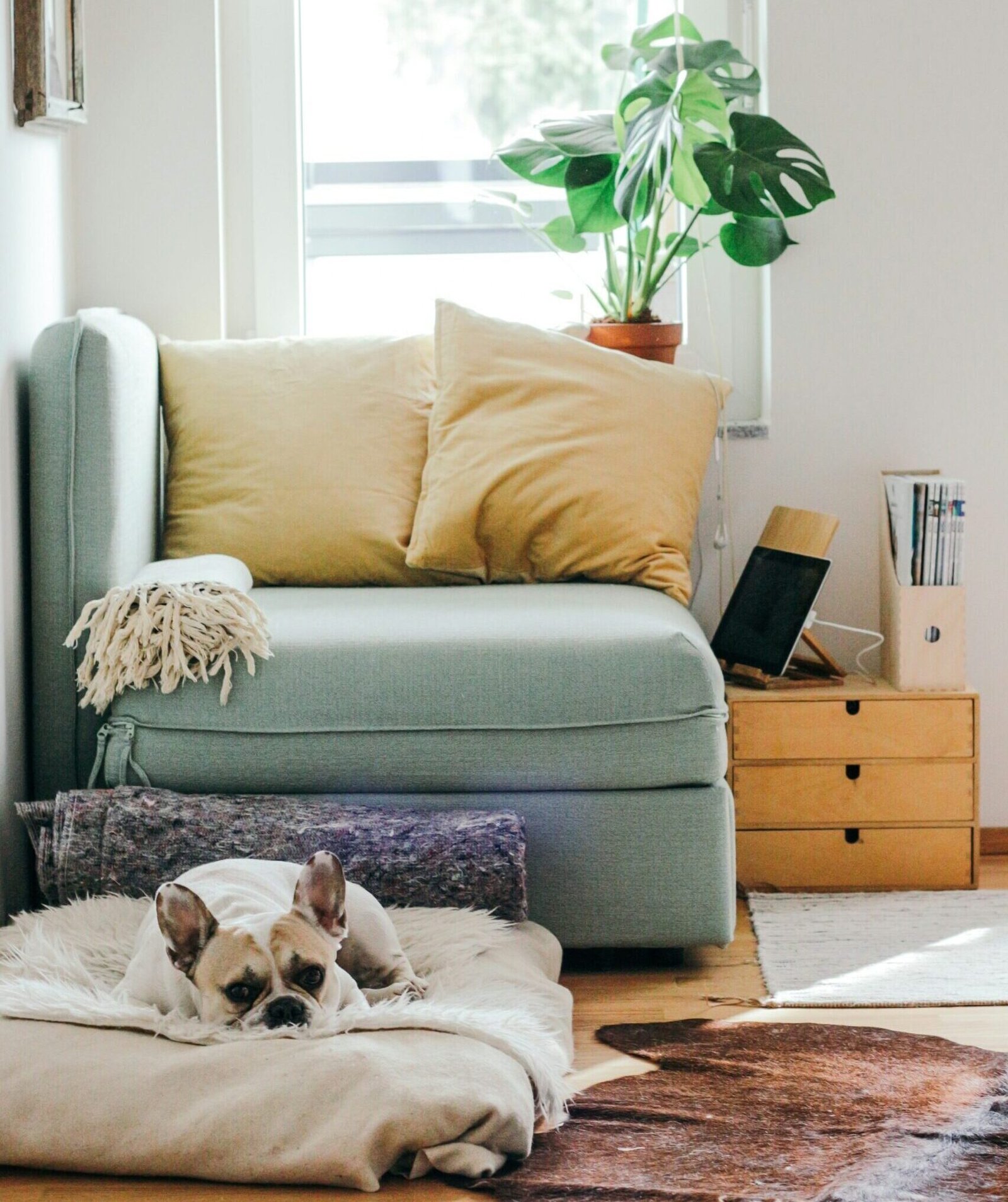 reading nook